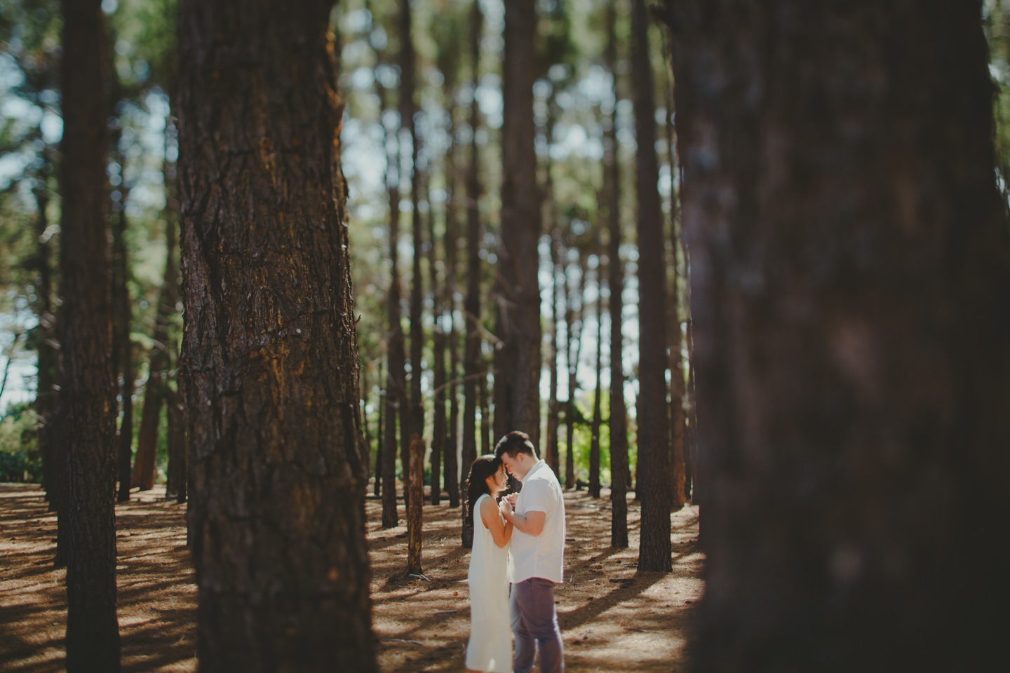 singapore-wedding-photographer-perth-prewedding 004