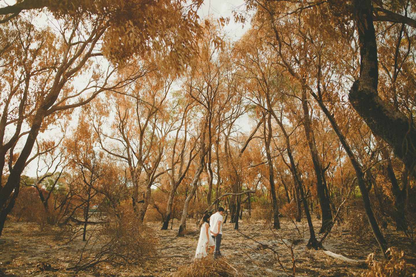 singapore-wedding-photographer-perth-prewedding 043